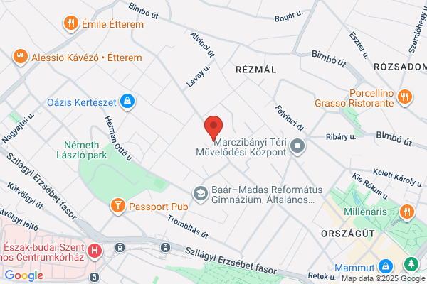 VCP Overseas Holding Ltd, Budapest, Baar branch