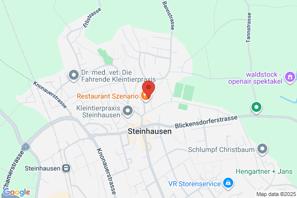 Gasser Management Services Gmbh