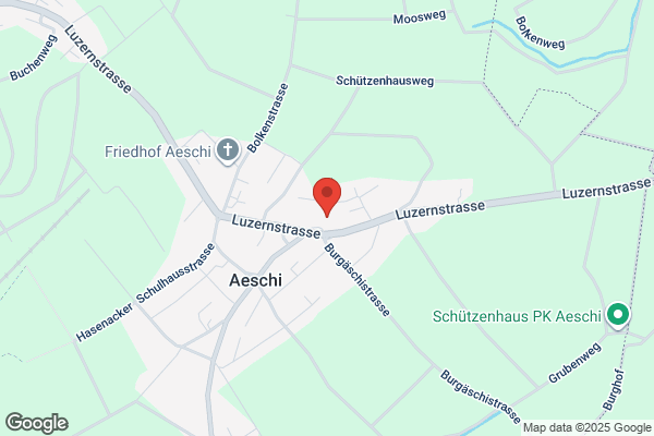 Amsler Gartenbau GmbH