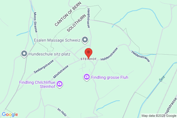 zuegler.ch