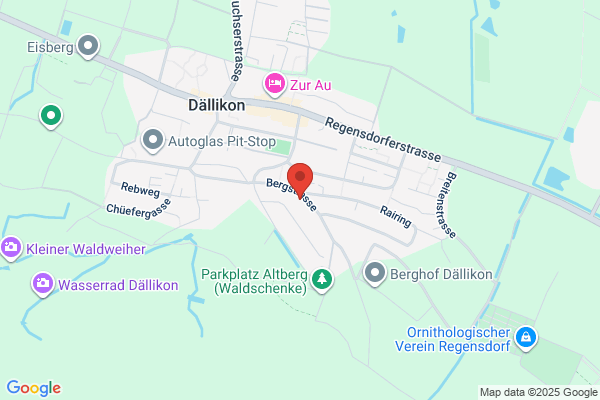 Rufener Informatik- beratung GmbH