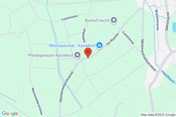 Chastel AG Niederhasli