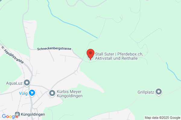 Suter GmbH Renn- und Pensionsstallungen