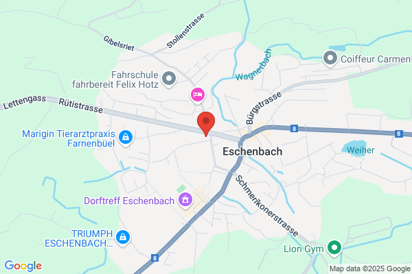 swissmontagen gmbh