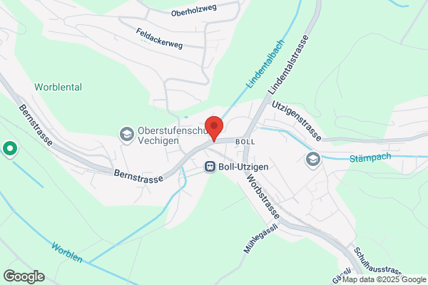 Fahrschule Gecko