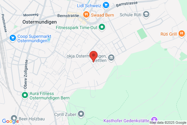 IMMO-SERVICE R. ISELI AG