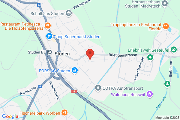 Dr.med.dent. P. Lichtenthurn