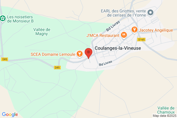 MCI Michel Coulanges