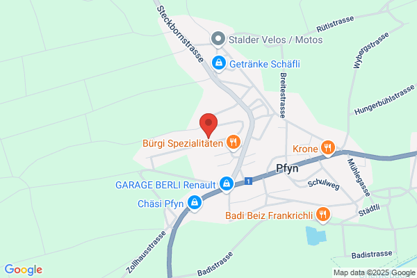 Kyborg-Institut Schweiz