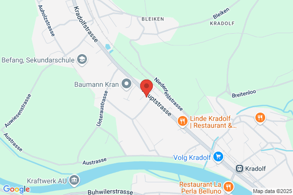 Schoenholzer AG