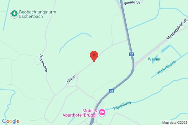 F. Loetscher Transporte