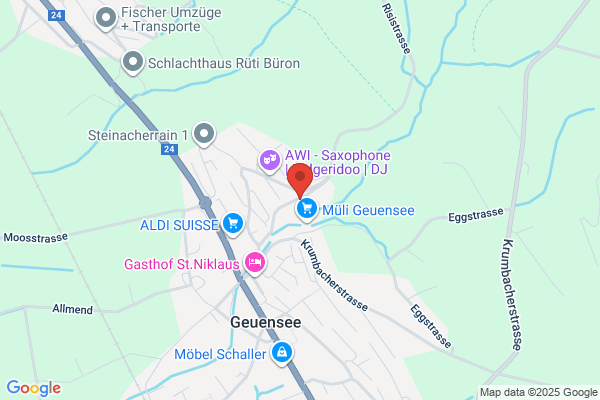 Miazzo Immobilien Miacons Handel und Beratung AG