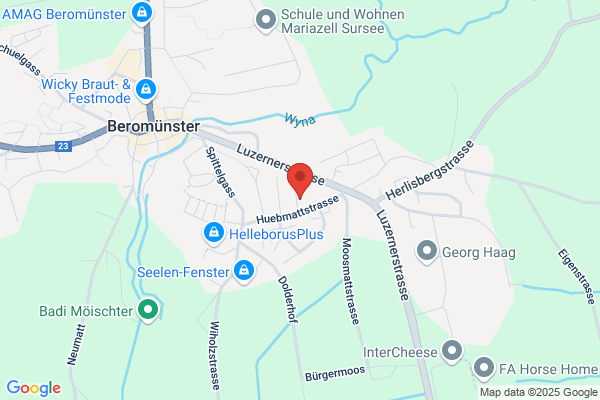 Master Support and Logistic GmbH