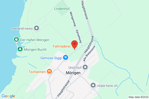 Fred Zimmermann Moerigen
