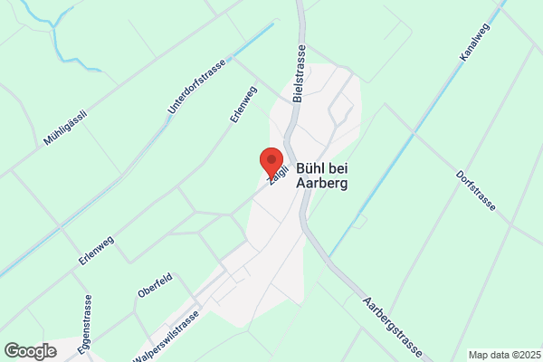 Fritz Nikles Buehl b. Aarberg