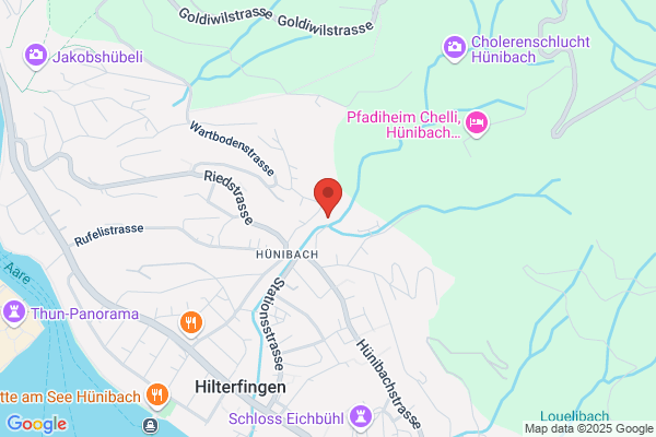 Hansruedi Fankhauser