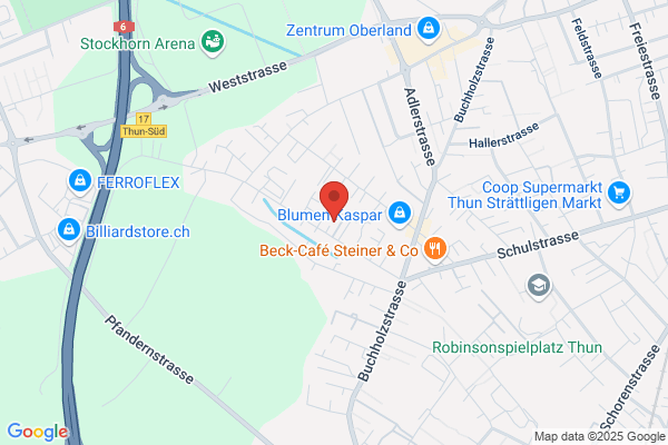 Bacher AG Thun