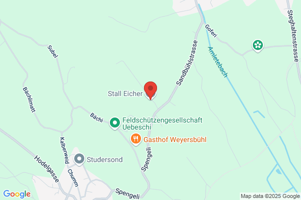 Hansruedi Eicher