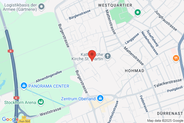 Zentrum fuer Internet-Strategie ZENIS