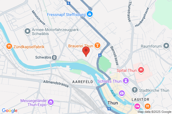 Verkehrsbetriebe STI