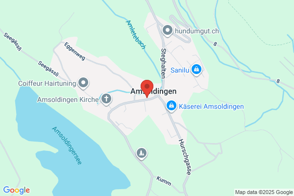 SB Schlag und Blasinstrumente AG
