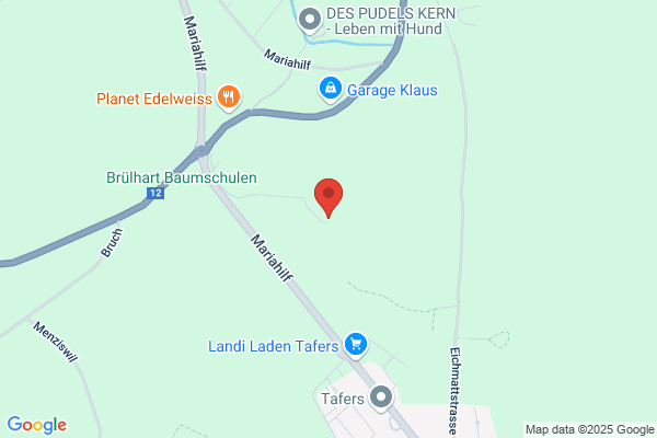 Holzbau GmbH