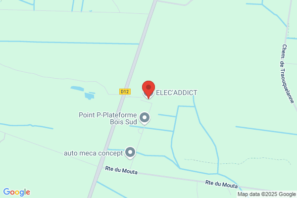 Elec A. Décosterd