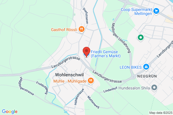 Dehmer+Furrer AG