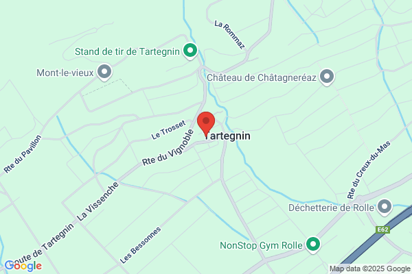La Lavandière C. Mongillo