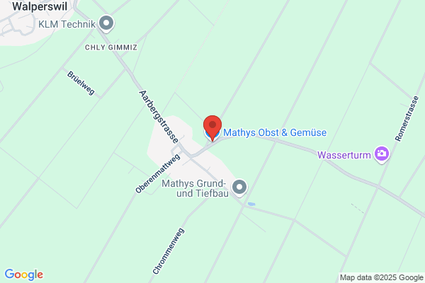 Gottfried Mathys