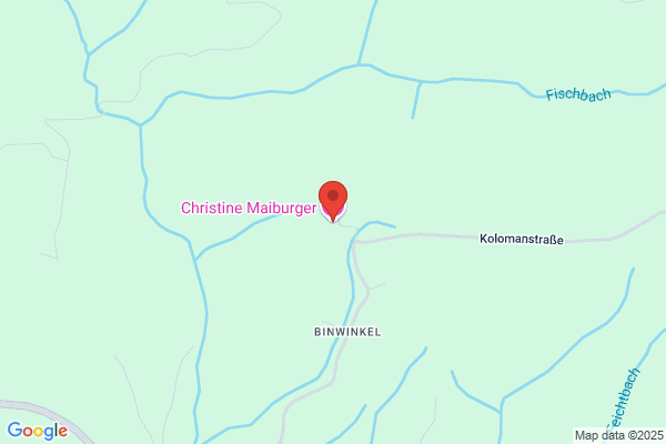 Marie-Theres Schmid