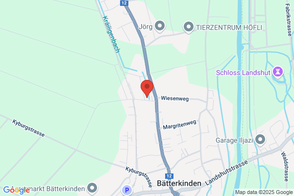 Margrit Tellenbach