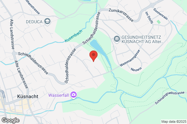 Zuerichsee Taxi und Limousinen Service