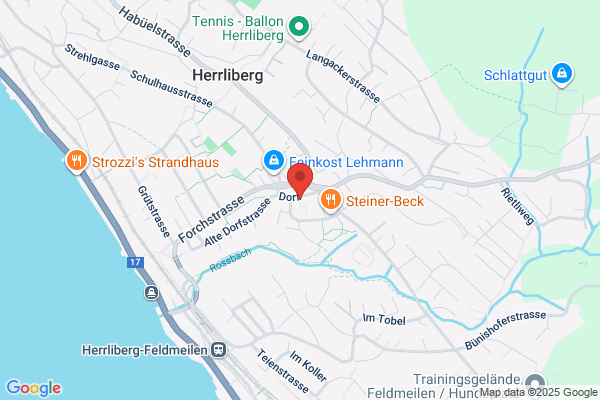 Hotel-Restaurant zur Rebe
