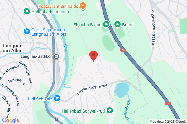 Zuerisee-Taxi, Seckin