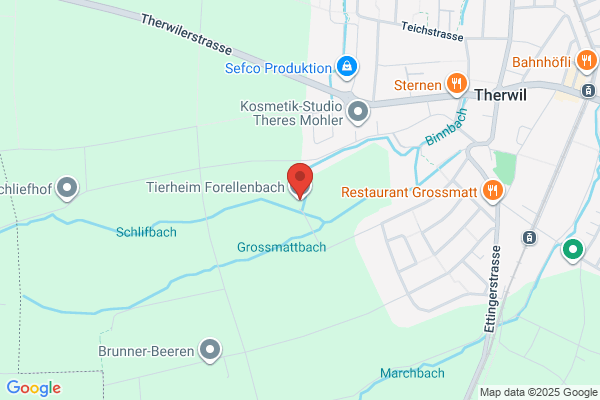 Tiergefühl