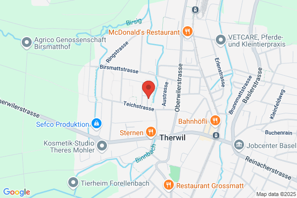 henzler informatik gmbh