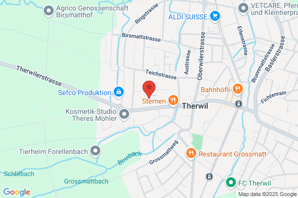 Stadthalter und Untersuchungsrichteramt