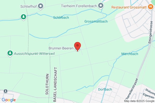 Buerstner AG