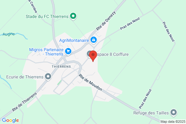Organisme médico-social vaudois