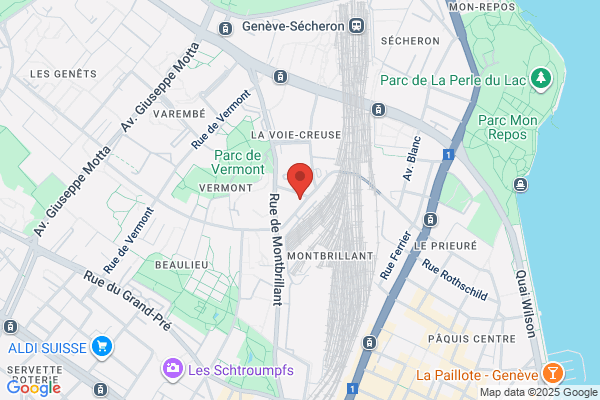 Vedior Bisinformatique