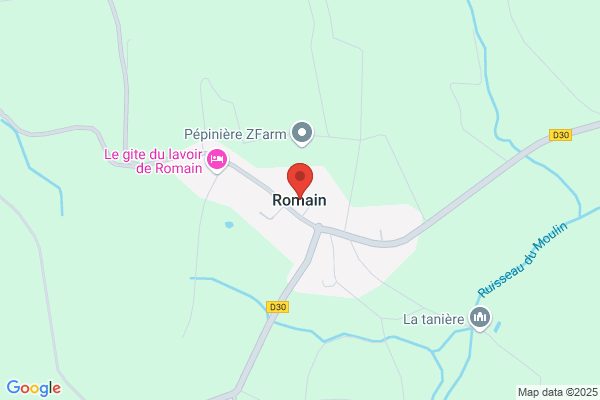 Henri Romain