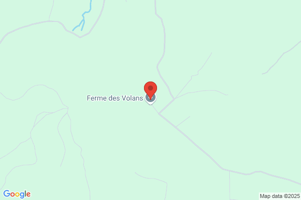 Volans SA