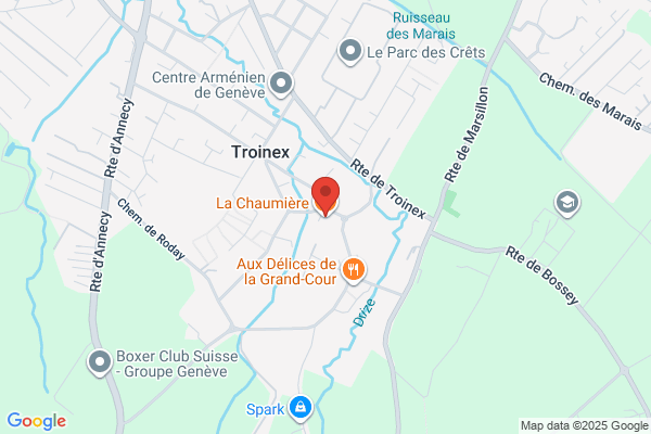 Henri Trévisan