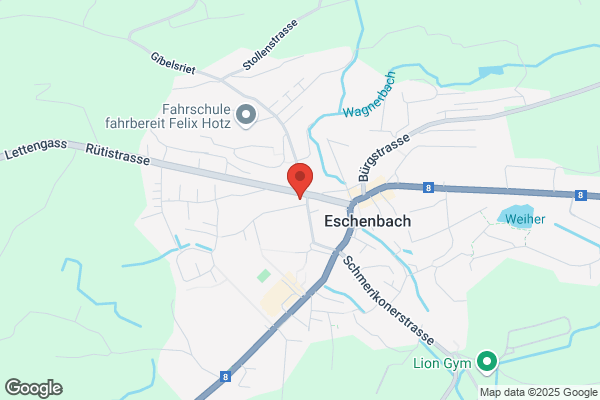 swissmontagen gmbh
