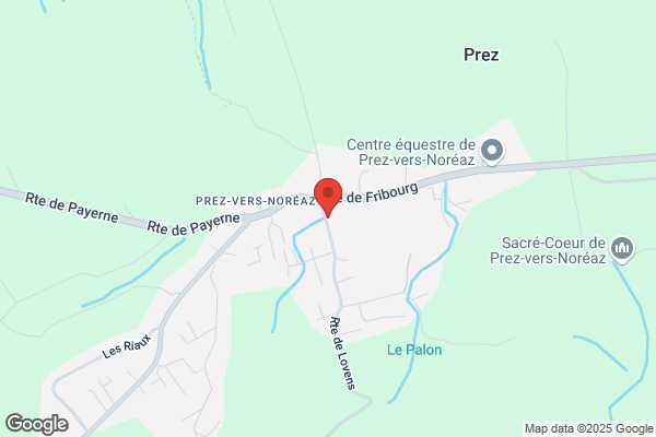 Boucherie BernardLimat
