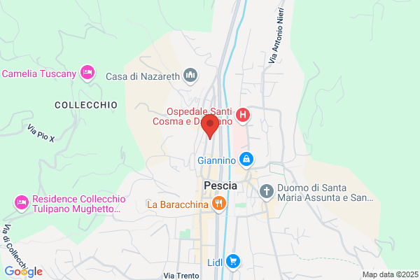 Franco Pescia pal. Oxalix 4b/