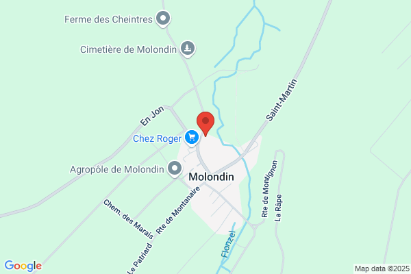 Michel Vallon