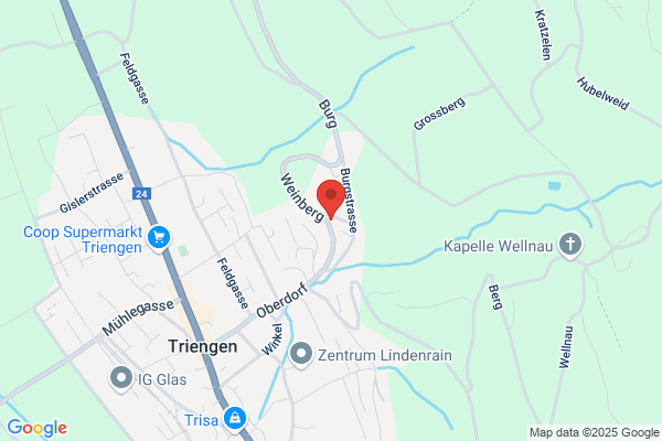 Petermann Software Engineering GmbH