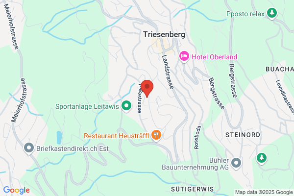Mangest Treuinstitut reg.